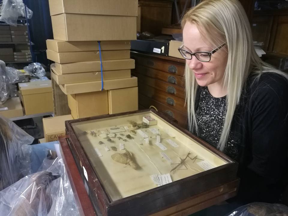 16683846_541324872704409_5343186269760808038_n