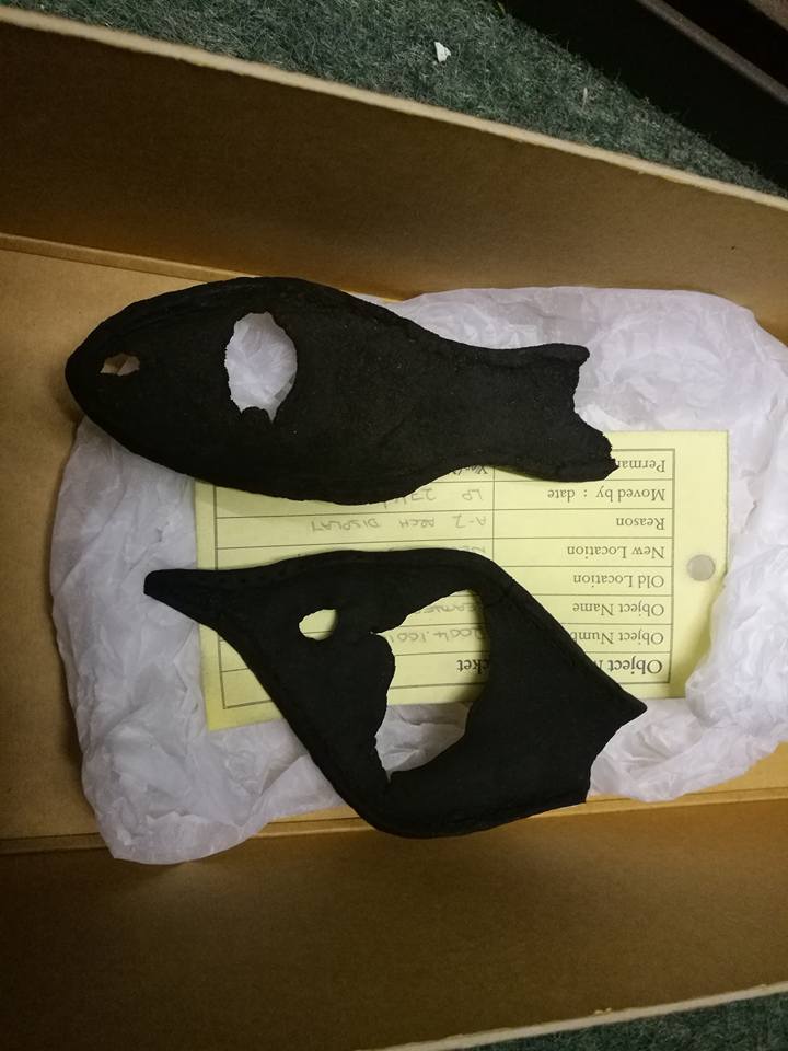 16807554_541324876037742_7943146806799616708_n