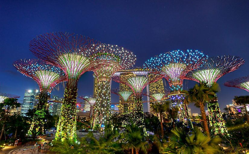 Garden-Rhapsody-Gardens-by-the-bay-825x510