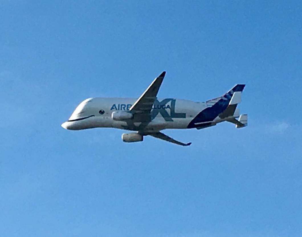 received_2282033502077383